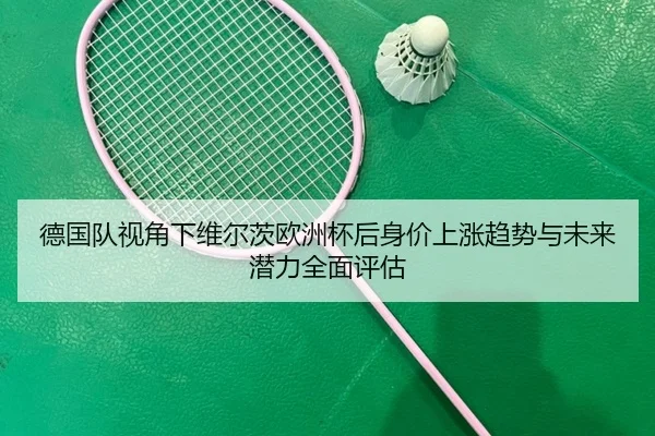 德国队视角下维尔茨欧洲杯后身价上涨趋势与未来潜力全面评估